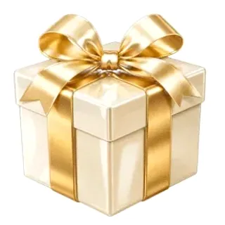 Wrapped gift box — Joe Fortune
